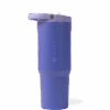 Lime Rickey Sport (32oz)
