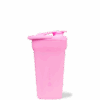Bubblegum Single Wall Shaker (20oz)